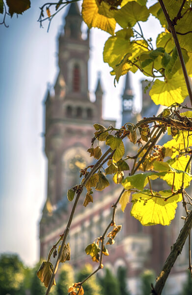 парк в Гааге
