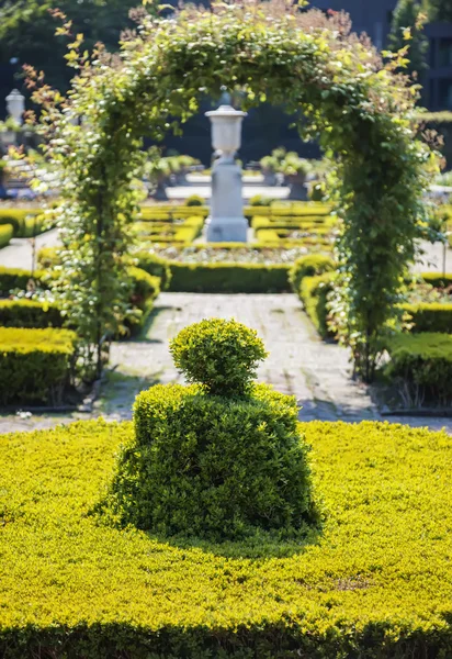 Decorative garden — Stock Photo, Image