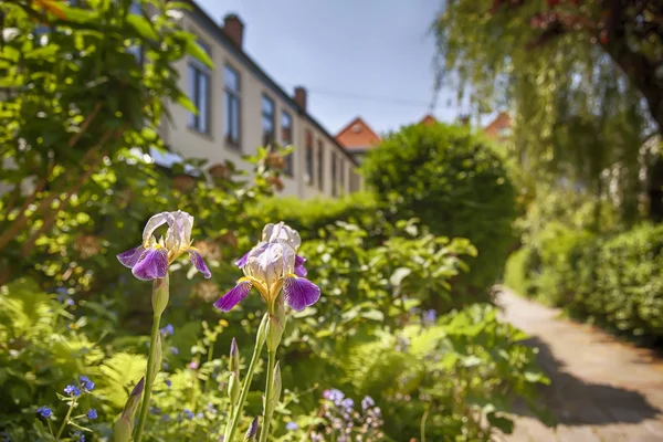 Stad werf — Stockfoto