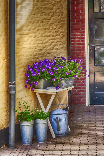 Flores entran a la puerta de casa —  Fotos de Stock
