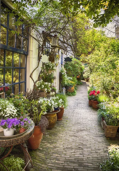 Flower street in town — Stock Image Flower street in town Stock Photo