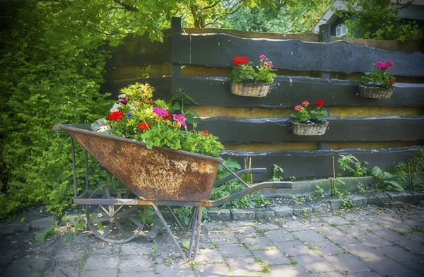 Seizoensgebonden land levende — Stockfoto