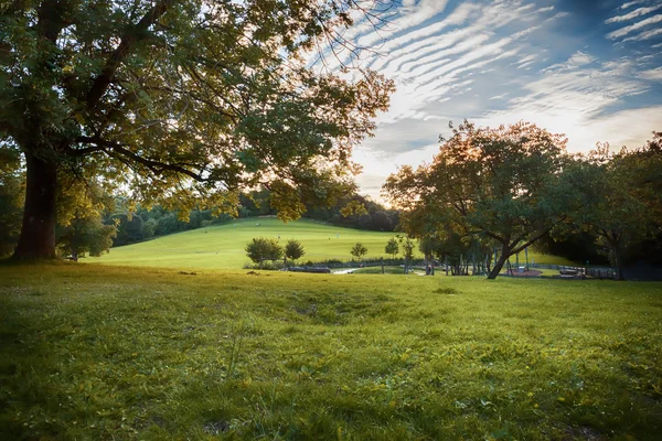 Kvällen park — Stockfoto