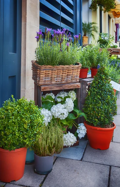 Bloemen straat winkel — Stockfoto