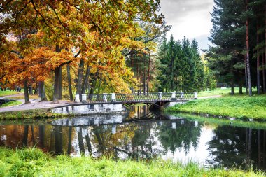 Şehir parkında sonbahar