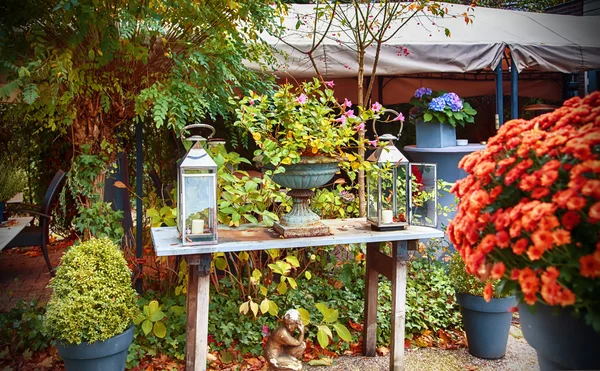 Herfsttuin — Stockfoto