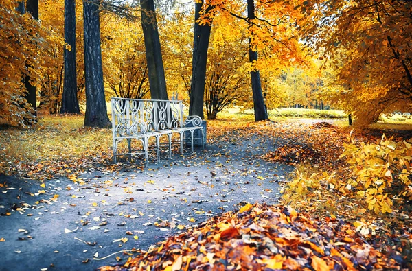 Otoño en parque de la ciudad —  Fotos de Stock