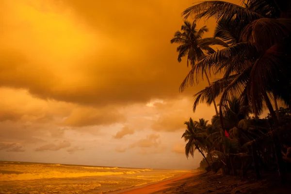Matahari terbenam tropis — Stok Foto