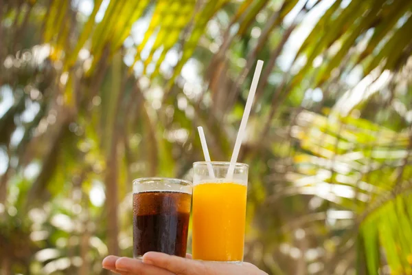 Kokteyl ve palmiye ağaçları — Stok fotoğraf