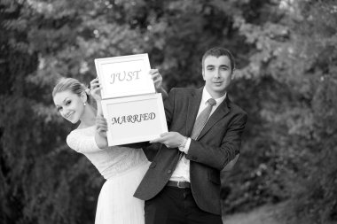 gelin damat