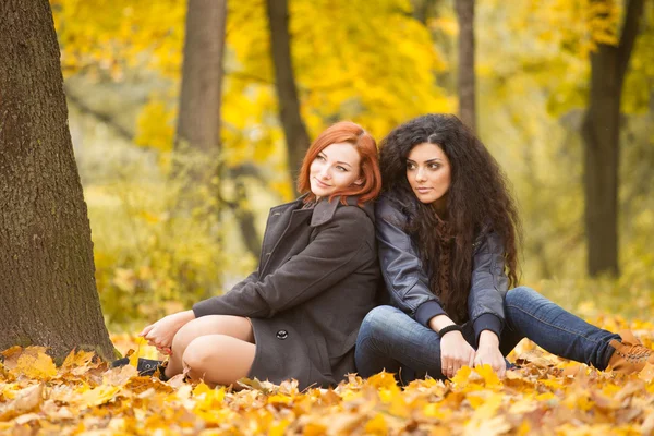 Retrato de outono de belas meninas em estilo casual — Fotografia de Stock