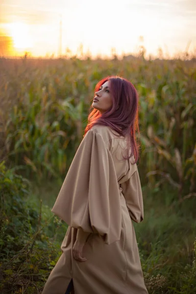 Joven Hermosa Mujer Feliz Pasar Tiempo Naturaleza Imagen De Stock