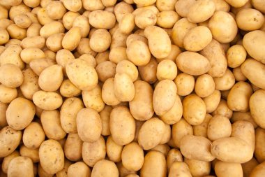 Organik patates yığını, semt pazarı