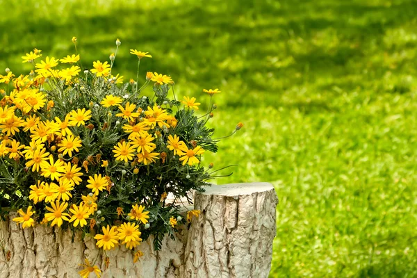 Uma estátua de tronco de árvore de pedra em um jardim com margaridas amarelas — Fotografia de Stock