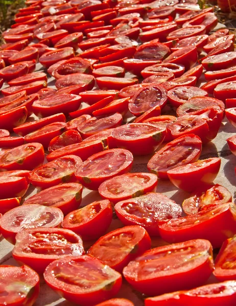 新鲜有机西红柿下热太阳下晒干 — 图库照片