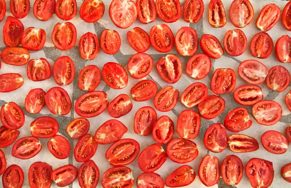 Свежие органические помидоры под жарким солнцем Стоковая Картинка