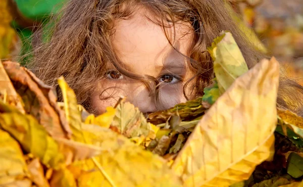 Malá dívka si hraje s podzimní listí — Stock fotografie