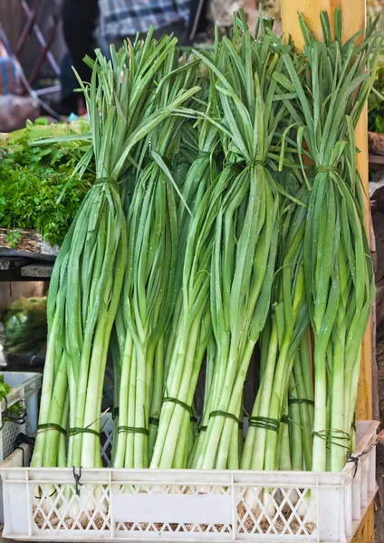 Alho-porro orgânico fresco em um mercado de rua — Fotografia de Stock