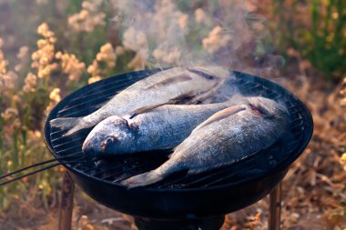 Sea Bream Fish Grilling On BBQ clipart