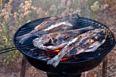 üzerinde Barbekü Izgara çipura balığı