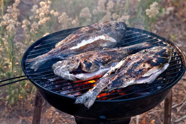 鯛魚のバーベキューのグリル — ストック写真