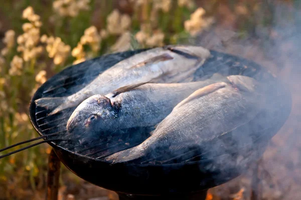 鯛魚のバーベキューのグリル — ストック写真