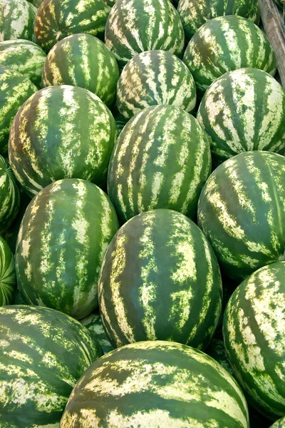 Organic Ripe Watermelon Heap — Stock Photo, Image