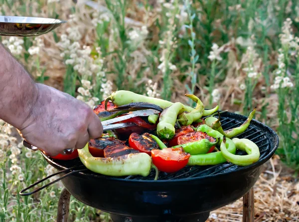 Pomidora i papryki połowów grillowania na grill — Zdjęcie stockowe