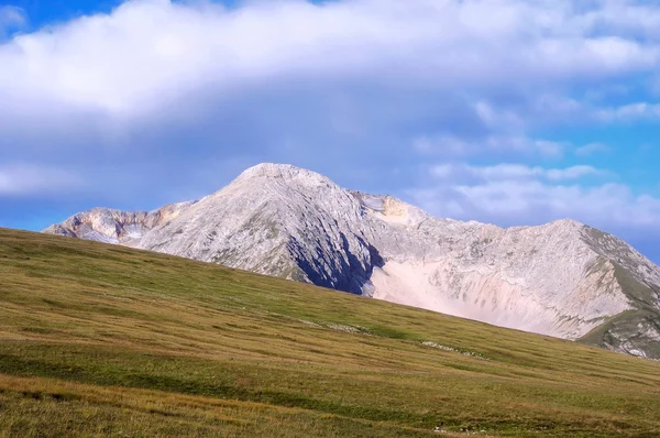 Nejvyšší oshten v kavkazských států biosférické rezervace. Kavkaz, Rusko. — Stock fotografie