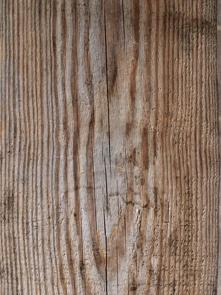 Pattern wood — Stock Photo, Image
