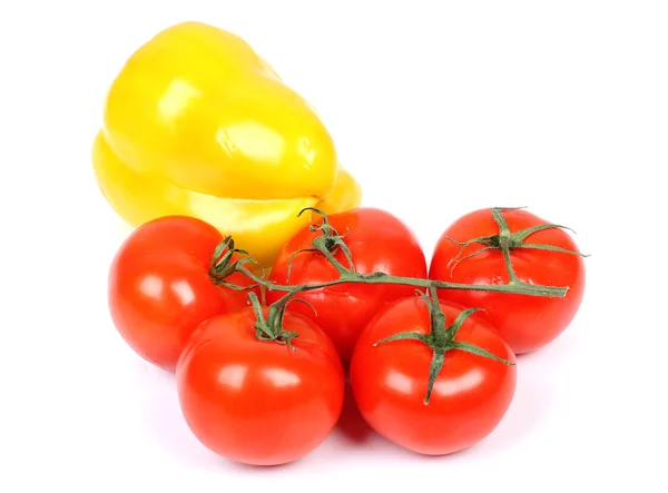 Tomates y un pimiento — Foto de Stock
