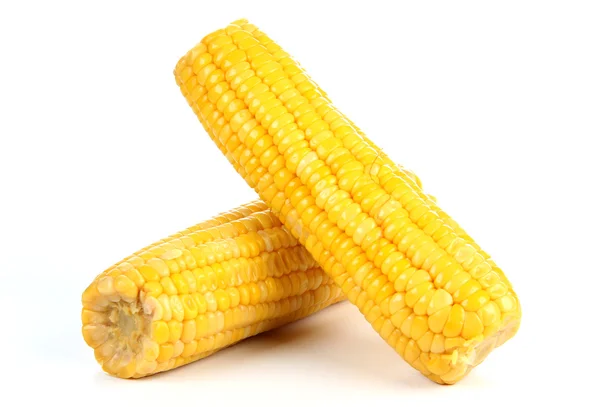 Corn cob — Stock Photo, Image