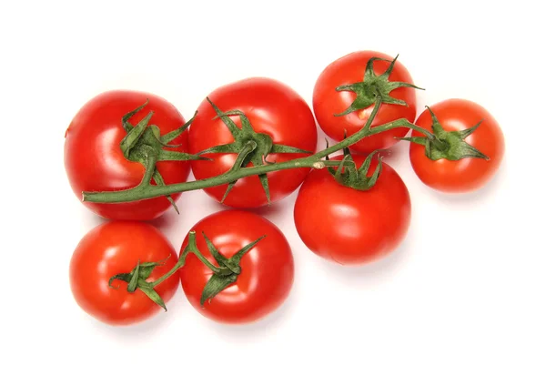 Tomates en rama verde — Foto de Stock