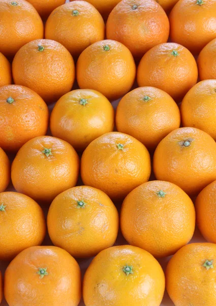 Mogen tangerine — Stockfoto