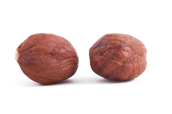 Hazel nut — Stockfoto