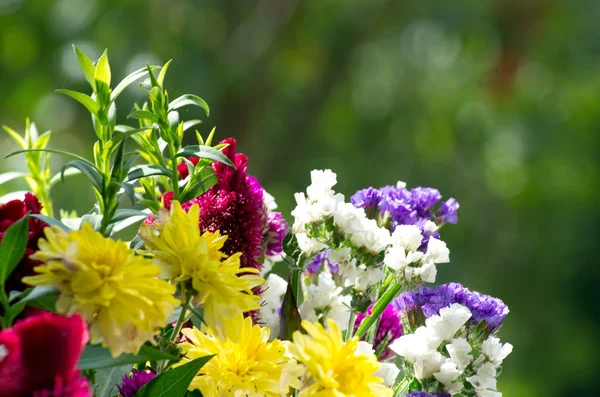 Flores — Fotografia de Stock