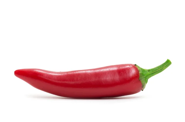 Röd paprika — Stockfoto