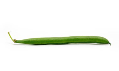 fasulye