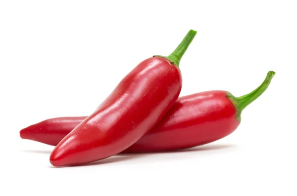 Pepper — Stock Photo, Image