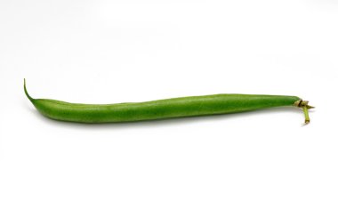 fasulye