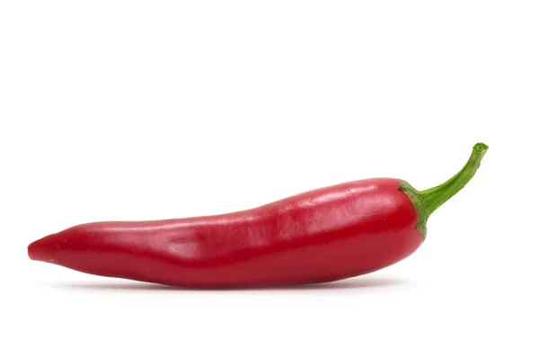 Pimienta roja picante — Foto de Stock