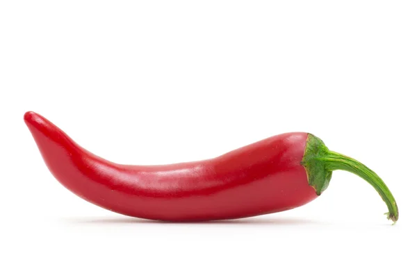 Pepper — Stock Photo, Image