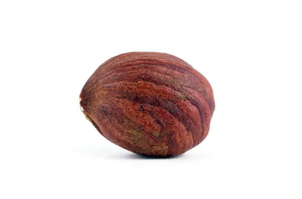 Hazel nut — Stockfoto