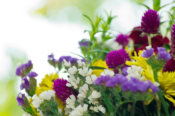 Flowers — Stock Photo, Image