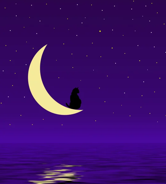 Gato en la luna noche — Foto de Stock