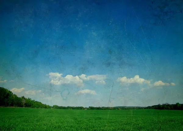 Green field — Stock Photo, Image