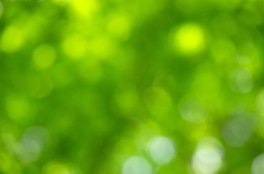  Bahar bokeh arka plan