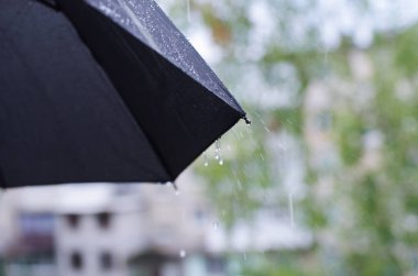 Şemsiye ve yağmur damlaları yakın çekim