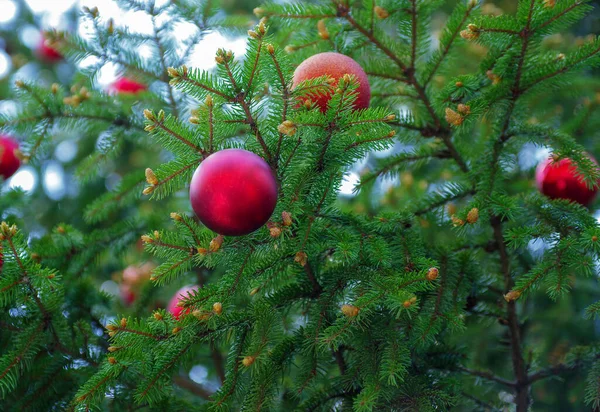 Detalhes Decoração Natal Árvore Natal — Fotografia de Stock