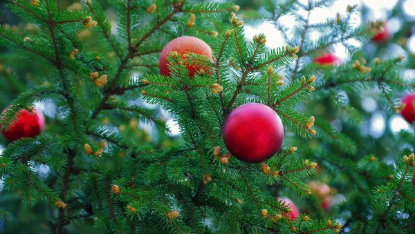 Decorazione Natalizia Dettagli Sull Albero Natale — Foto Stock